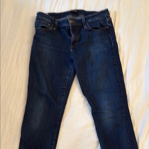 Joe's Jeans Dark Blue Skinny Jeans